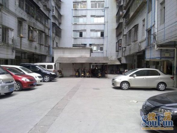 林苑楼实景图