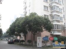 电梯复式5房地铁口万达旁飞机户型南北通随时入住