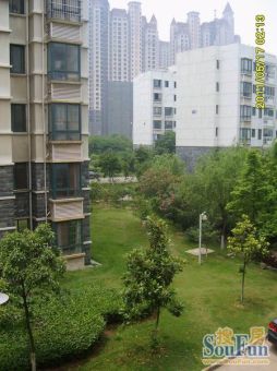 卫东花园,精装4房,南北通透.就读南昌五中,实验,.