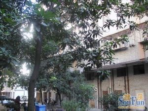 鞋材城 满五年 无抵押 产权清晰 近3号线叠滘站
