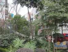 锦绣华都西区 4室2厅 东南