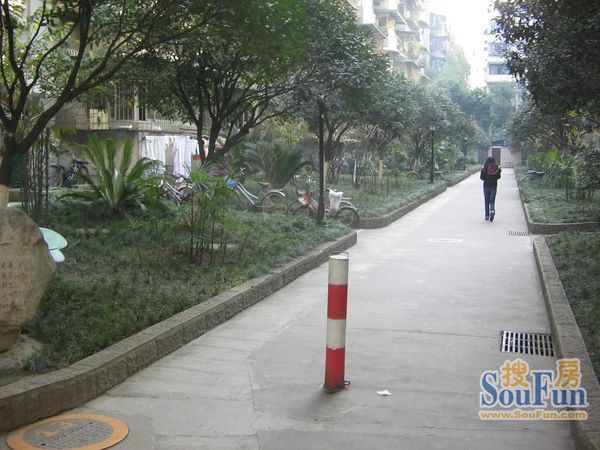 小区相关图