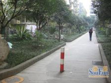 华油苑3室2厅东北西南