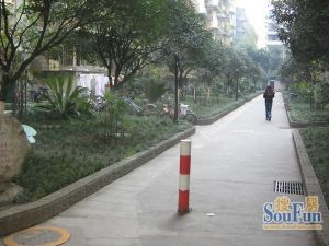 华油苑3室2厅东北西南