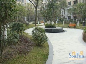 熙岸3室2厅南