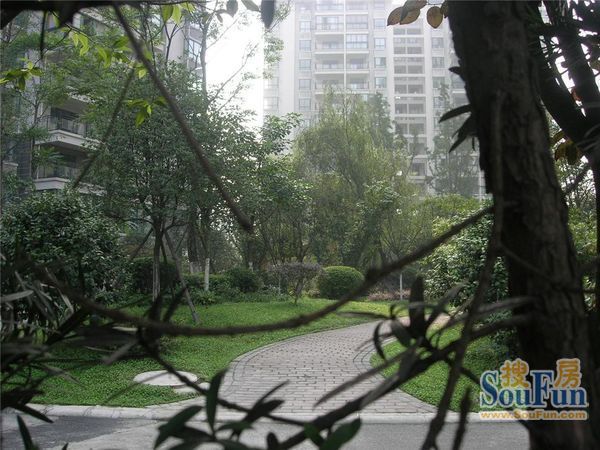 小区相关图