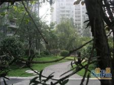 芙蓉名城C区3室2厅南北