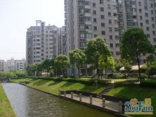 三岛龙洲苑 2室1厅 南