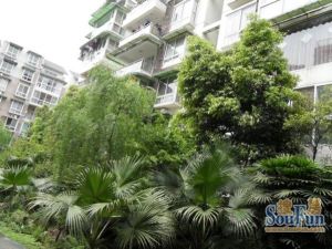 南丽湾3室2厅南北