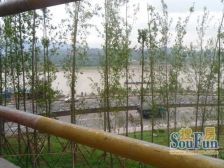 合药小区 3室2厅 南 北