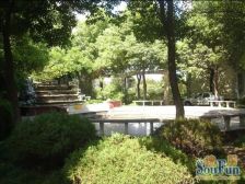 星云小区新出一房,上实总价蕞低,书包未用,看房方便,价可谈!