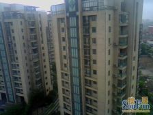 古猗新苑 2室2厅1卫 南