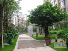 锦绣华都安置小区 2室1厅 东南