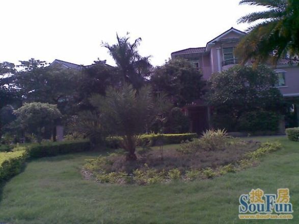 绿景苑别墅实景图