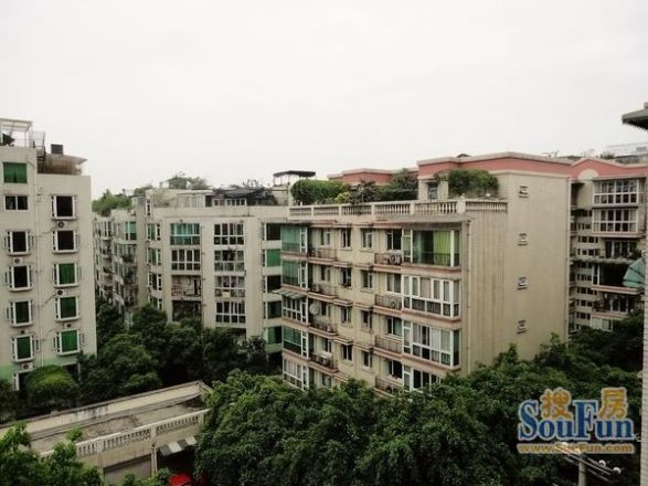 紫薇庭园实景图