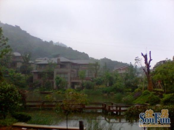 绿城西子青山湖玫瑰园实景图