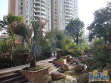 西苑低层南向大三房 领包入住,采光通风佳