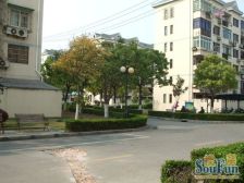 高东·杨园三村·2室·1厅