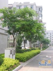 置信逸都城市会所3室1厅南