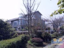 三利宅院一期5室2厅西