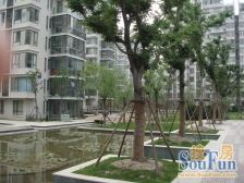 绿地万达双商圈,30米菜场+满五+底价小区嘴便宜一套