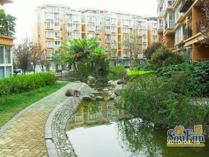 静水香榭 3室1厅 东南