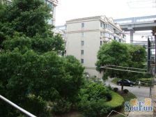 浦江花园北区3室1厅南