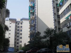 地铁口旁复式楼两层客厅挑高近雅礼枫树山诚心卖