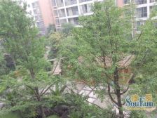 宗申流溪丽园3室1厅南