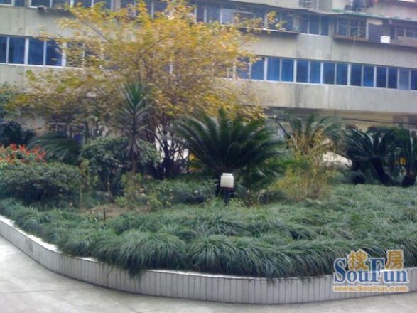 新科庭院实景图