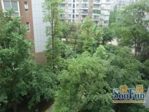 城南名著3室1厅西南