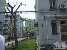 采光好,视野好,独栋边套,设施齐全,近金山卫站