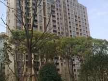 年轻化小区,天然氧吧,儿童乐园,各方面的方便