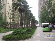 加州新牌坊 邮政绿苑三房80万