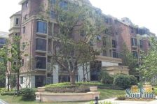 新上洋房,楼层好位置佳,有车位预约可看