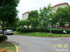 11年次新小区,飞机户型板正三房,无shui