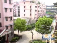 顶层复式,东南西北全明户型,四室两厅两卫,带大露台