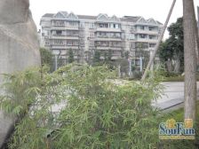 九宫庙 蓝馨园一房