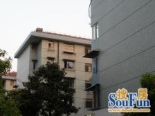 低楼层,模范大三房,繁华步行街,诚售!