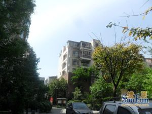 鹃城帝景3室2厅东南