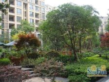 林庭叠院3室2厅东西