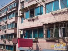 电梯房,电梯直达,楼层好采光好通风佳,飞机户型