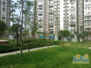 秀林苑西区3室1厅东东南