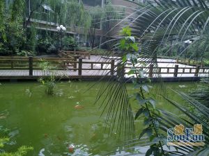 空港16区3室1厅东