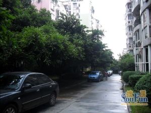 香木林花园3室1厅西北