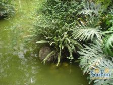 城南名著 4室1厅 西