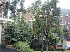 双山森林公园 清水别墅端户 大花园