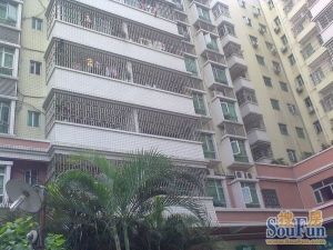 市府大院混合结构南北对流顶层楼梯税费各付