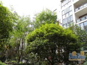 翰林南城 2室2厅 南