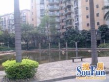 业主保养很好,户型方正实用三房